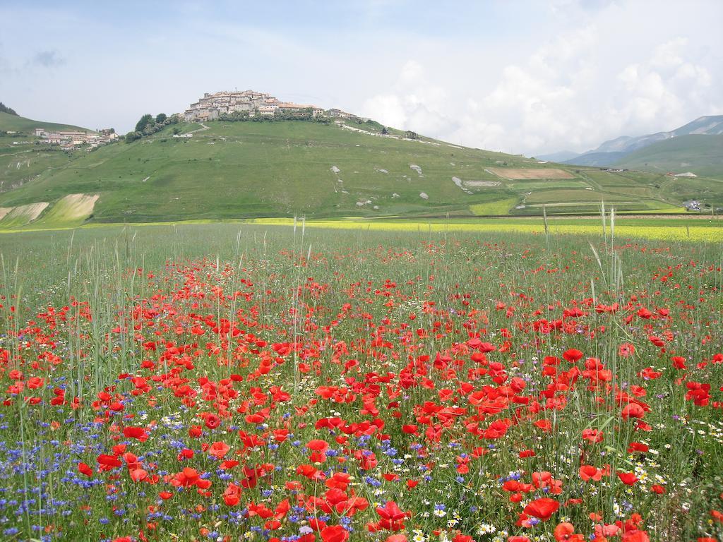 Hotel Vega Perugia Dış mekan fotoğraf